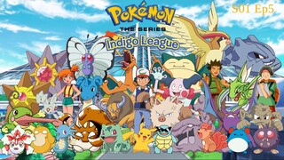 Pokemon S01E05 in Hindi