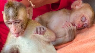 Tiny adorable Yaya sleeping very well after put new diaper & tiny Toto so happy playing around Mom