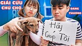 Giải Cứu Chú Chó Con Đáng Thương Bị Bỏ Rơi Giữa Trời Lạnh - Số Phận Chú Chó Sẽ Đi Về Đâu ? Hà Sam TV