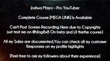 Joshua Mayo course - Pro YouTuber download