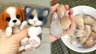 OMG Animals SOO Cute! AWW Cute baby animals Videos Compilation Cutest moment of the animals 13