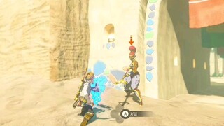 The legend of zelda when you try to shield against npc