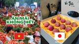Vải thiều ở Việt Nam và Nhật Bản - Top comment Face Book.