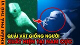 🔥 7 Bí Ẩn Quái Vật NINGEN Sinh Vật Bí Ẩn Giống Người Xuất Hiện Tại Nam Cực | KPTV