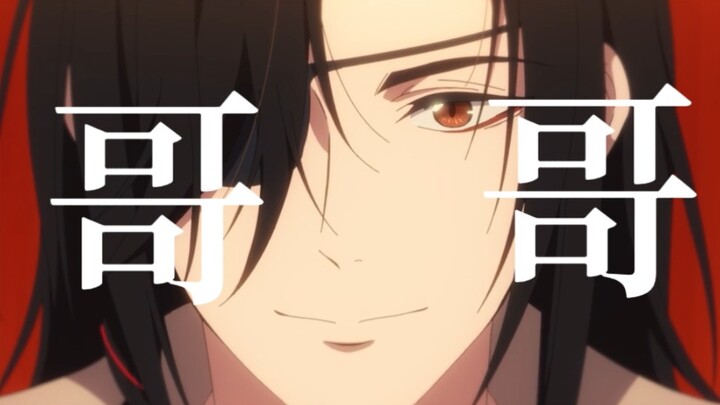 【天官赐福】花城叫谢怜66次“哥哥”