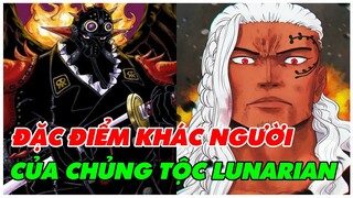 KING Và Chủng Tộc LUNARIAN - Các Đặc Điểm Khác Người Để Nhận Biết | Khám Phá Anime