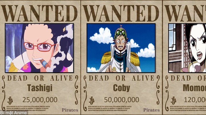 Tiền thưởng của những nhân vật trong Hải quân One Piece