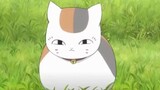 Setelah mendengarkan kata-kata Natsume, Tuan Kucing merasa seperti disambar petir, yang memalukan
