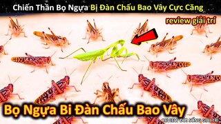 Những Hiện Tượng Khó Lý Giải Cực Đáng Sợ Của Các Loài Động Vật Tự Nhiên || Review Giải Trí Đời Sống