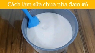 Cách làm sữa chua nha đam p6