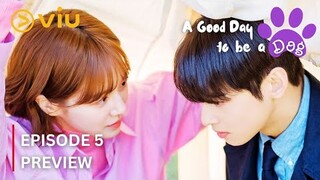 A Good Day to be a Dog 🐕 Episode 5 Preview| Hae Na SAVES Seo Won| Cha Eun Woo, Park Gyu Young