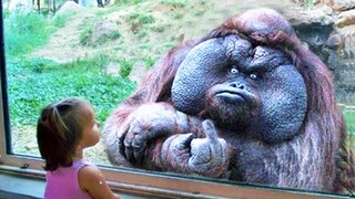 Animals Trolling Kids At Zoo 4 - Try Not To Laugh Funny Animal 2021 | Pet Squad