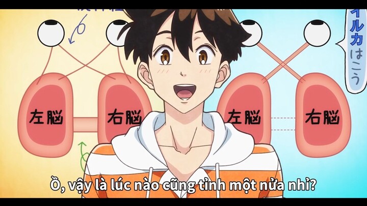 Giác quan của loài vật dưới nước như nào? #anime