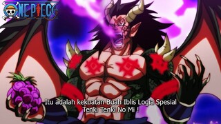 ONE PIECE TERBARU ! BUAH IBLIS MONKEY D DRAGON TERUNGKAP ! LOGIA SPESIAL TENKI TENKI NO MI