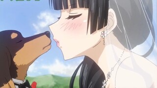 Dalam anime, anjing terlahir sebagai pemenang, namun manusia tidak sebaik anjing.