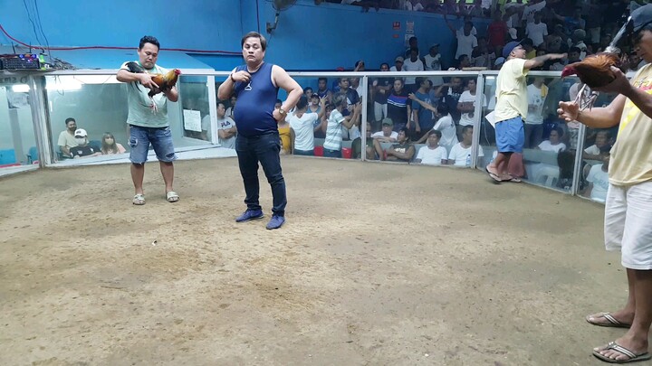 Pumpkin Sweater Raymond Angeles Line 2x winner, 2hits ulutan 2nd Fight WIN #OldMarilaoCockpitArena