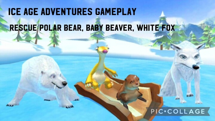 Ice Age Adventures Gameplay: Rescue Polar Bear, Baby Beaver, White Fox