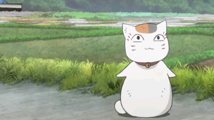 [ Natsume's Book of Friends ] Who doesn't like chubby kittens?