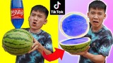 Hưng Troll | THỬ THÁCH LÀM THEO NHỮNG VIDEO TRIỆU VEW TRÊN TIKTOK PHẦN 4 | Biến Quả Dưa Hấu Màu Xanh