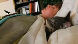 Stressed? Then Just Cuddle Your Cat and Sleep, Cute Cats And Their Owners Sleep Together