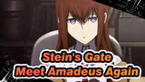 Stein's Gate
Meet Amadeus Again