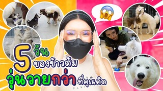 5 วันที่ข้าวต้มมัด นอนบ้านข้าวนึ่ง มาดูกันวุ่นวายแค่ไหน - ข้าวนึ่ง & เดอะแก๊ง