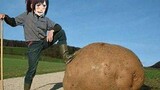 Attack on Titan Funny Pictures [Issue 8]