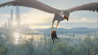 Watch full movie Flow for free : link in description