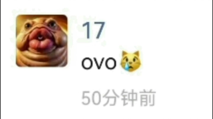 OMO是……