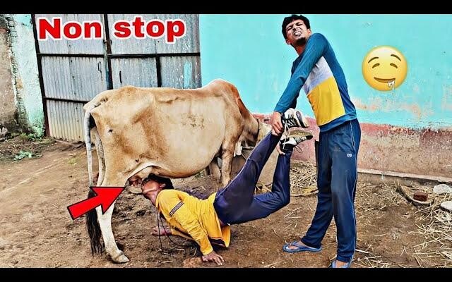 Non-stop video Best Amazing Comedy video 2021 Must Watch New Funny VideoFUN SINS ตอนที่83@funsins
