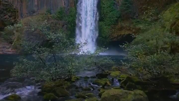 natural view of water falls