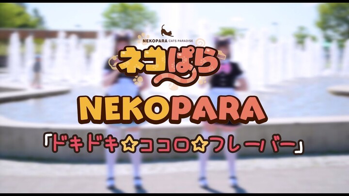 【ネコぱら】ドキドキ☆ココロ☆フレーバーNEKOPARA DANCE 【歌って踊ってみた】