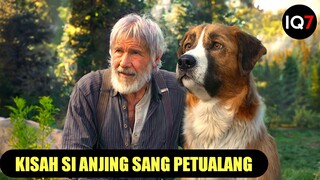 PERSAHABATAN MANUSIA DAN ANJING ‼️