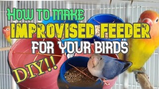 DIY How to make guard to your Bird Feeder cup to prevent spiillage| Improvised Bird Feeder