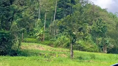 liburan