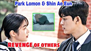 Lomon & Shin Ae Eun's ' REVENGE of others' | Story, Telecast Date | Park solomon | 3인칭 복수