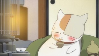 [ Natsume's Book of Friends ] Natsume's foodie Nyokou Sansan is a real headache for Natsume. She wil