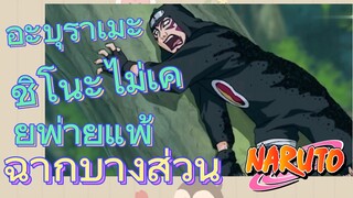 [นารูโตะ] ฉากบางส่วน |  อะบุราเมะ ชิโนะไม่เคยพ่ายแพ้