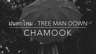 ฝนตกไหม - Three Man Down CHAMOOK (cover)