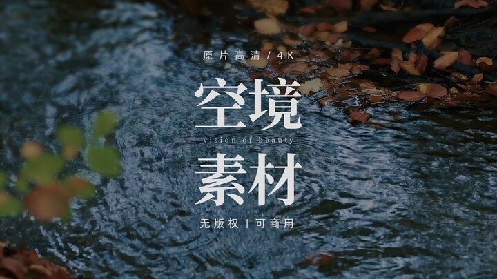 【无版权空镜】fallen leaves