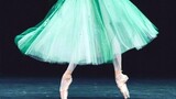 Rok balet asli bisa sangat cantik! Ini dengan sempurna menggambarkan keindahan mekar!