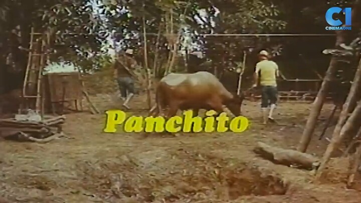 HAW HAW DE KARABAO - DOLPHY AND PANCHITO ( FULL TAGALOG MOVIE ) PINOY CLASSIC MOVIE