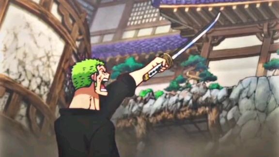 Zoro and Marco🔥