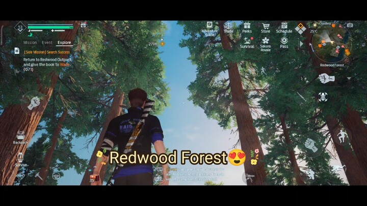 Undawn amazing Redwood Forest map