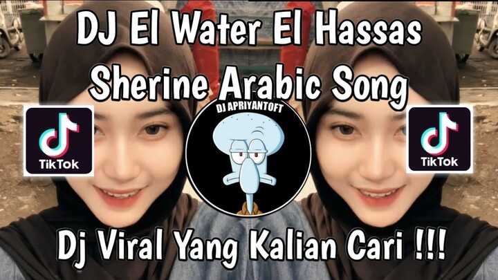 DJ EL WATER EL HASSAS | SHERINE EL WATER EL HASSAS | SHERINE ARABIC SONGS VIRAL TIK TOK 2024 !