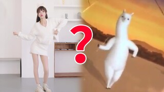 【senko】我还是那么爱跳舞