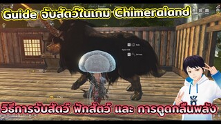 วิธีการจับสัตว์ในเกม Chimeraland เกม MMORPG Survival ผจญภัยและเอาชีวิตรอดในโลกแฟนตาซี