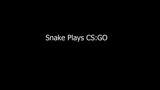 Snake Plays CS:GO