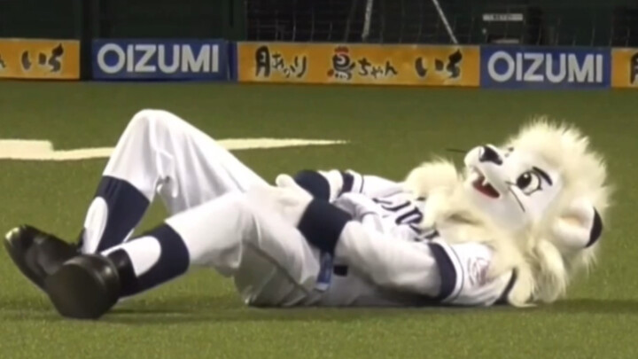 [Animal] The Halftime Performance of A "White Lion"