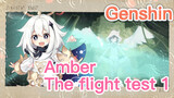 Amber The flight test 1
